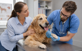 Warning Signs Your Pet Needs a Vet Visit