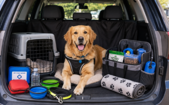 Best Pet Travel Accessories for Long Car Trips