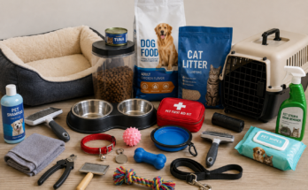 Essential Supplies for First Time Pet Owners
